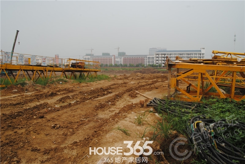 5种地板质料分类及优误差、看完选地板不再渺茫_房产资讯_-质料雷竞技APP(图4)