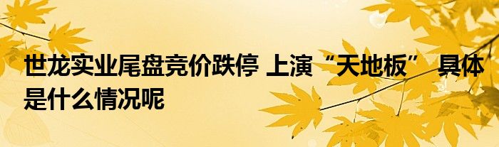 世龙实业尾盘竞价跌停雷竞技APP 上演“寰宇板” 全体是什么情景呢(图1)